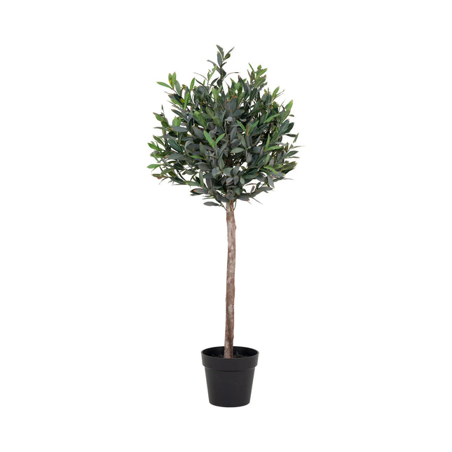 Kunstplant Olijfboom - ↕120cm