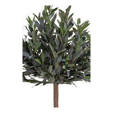 Kunstplant Olijfboom - ↕120cm