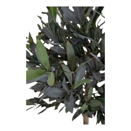 Kunstplant Olijfboom - ↕120cm