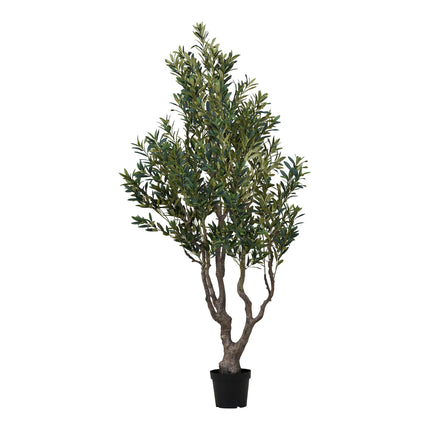 Kunstplant Olijfboom - ↕220cm