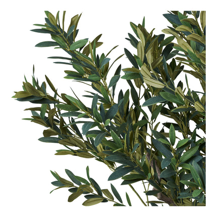 Kunstplant Olijfboom - ↕220cm