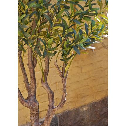Kunstplant Olijfboom - ↕220cm