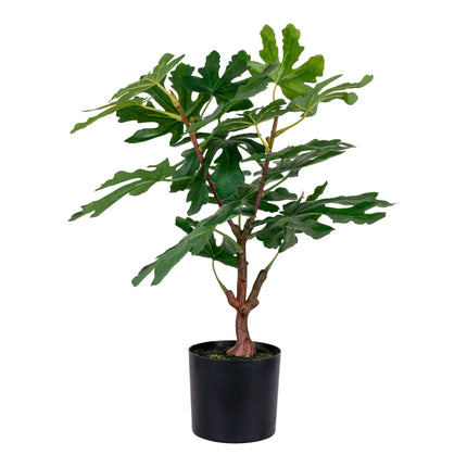 Kunstplant Vijgenboom - ↕60cm
