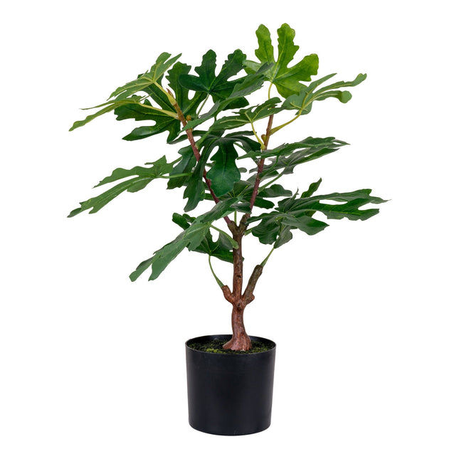 Kunstplant Vijgenboom - ↕60cm