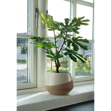 Kunstplant Vijgenboom - ↕60cm