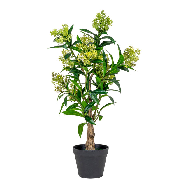 Kunstplant Skimmia boom - ↕75cm