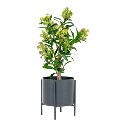 Kunstplant Skimmia boom - ↕75cm