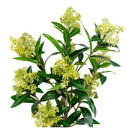 Kunstplant Skimmia boom - ↕75cm