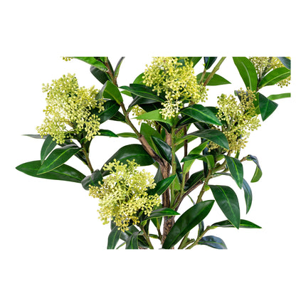 Kunstplant Skimmia boom - ↕75cm