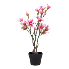 Collection image for: Kunst Magnolia