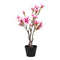 Kunst Magnolia