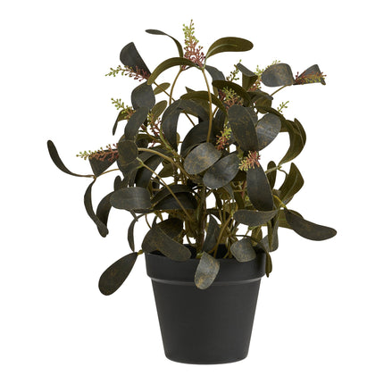 Kunstplant Eucalyptus - ↕35cm