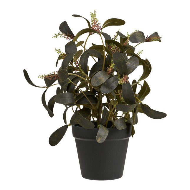 Kunstplant Eucalyptus - ↕35cm