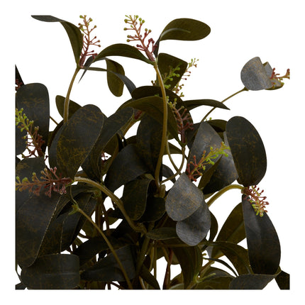Kunstplant Eucalyptus - ↕35cm