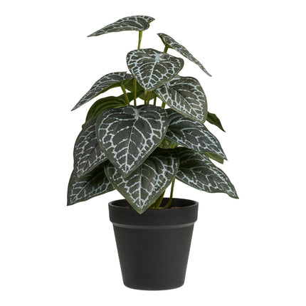 Kunstplant Anthurium - ↕33cm