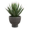 Agave Kunstplant
