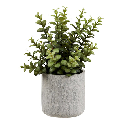 Kunstplant  Vetplant - met cementen pot - ↕33cm