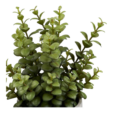 Kunstplant  Vetplant - met cementen pot - ↕33cm