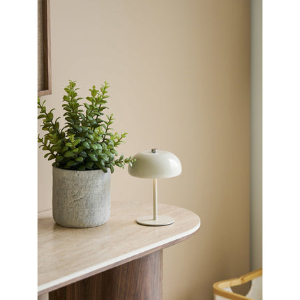 Kunstplant  Vetplant - met cementen pot - ↕33cm