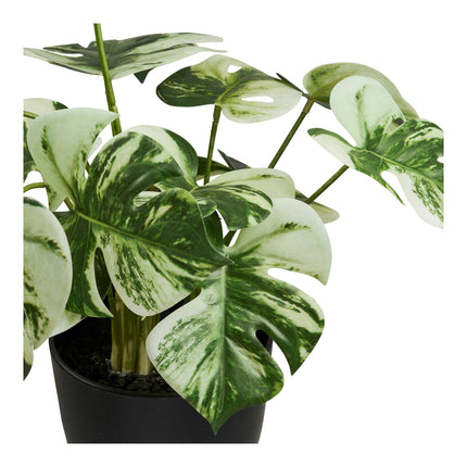 Kunstplant Monstera - ↕43cm