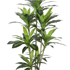 Collection image for: Grote Kunstplanten