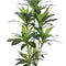 Grote Kunstplanten