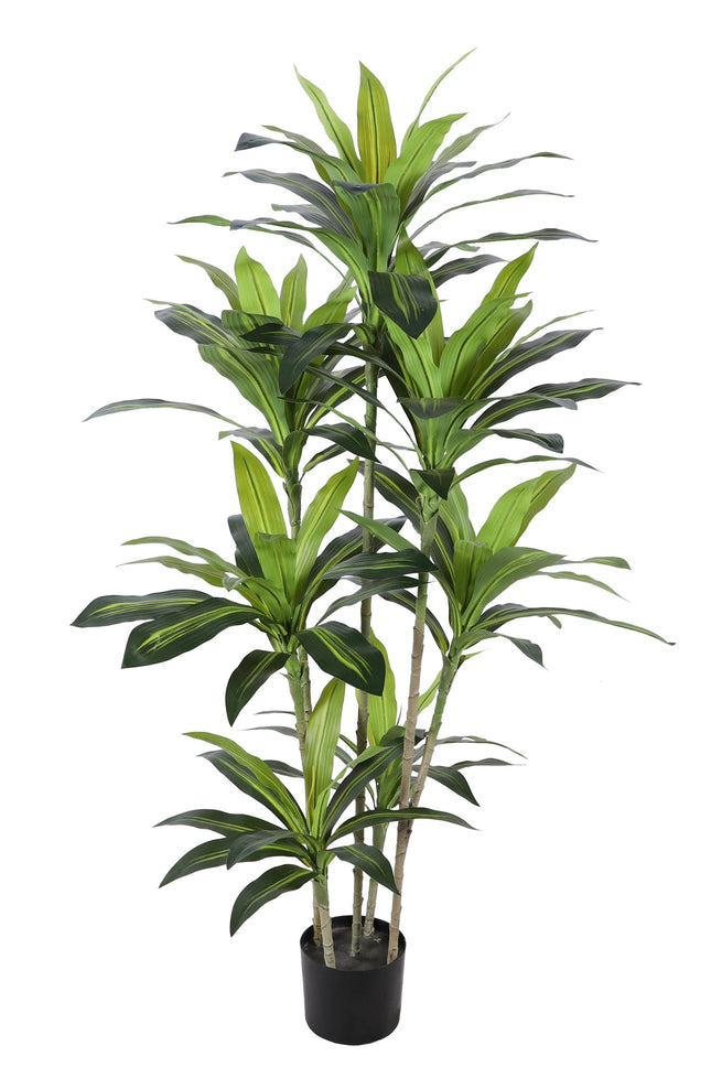 Kunstplant Agave - ↕150cm
