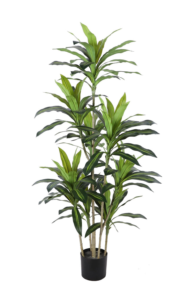 Kunstplant Agave - ↕170cm