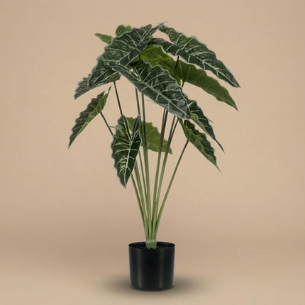 Kunstplant Alocasia - ↕80cm