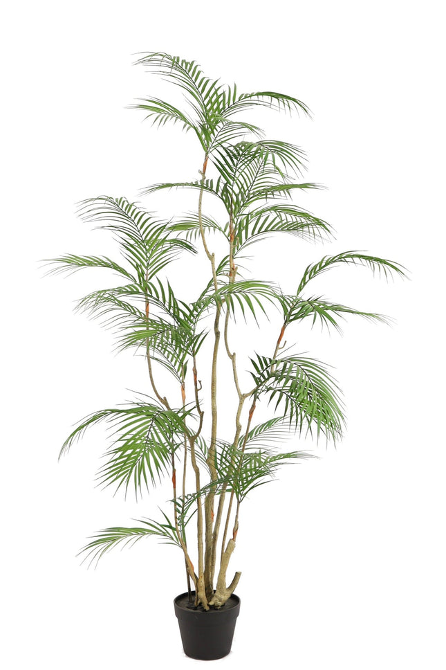 Kunstplant Areca Palm - ↕160cm