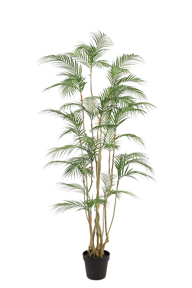 Kunstplant Areca Palm - ↕180cm