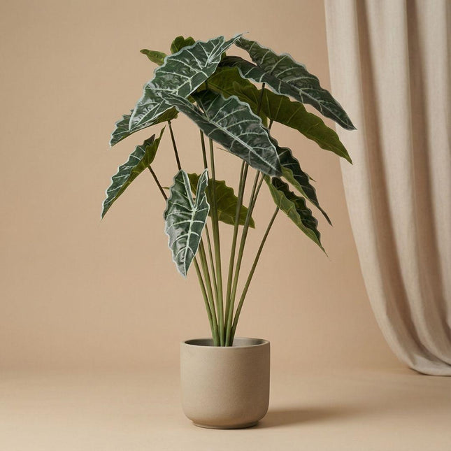 Kunstplant Alocasia - ↕80cm