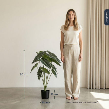 Kunstplant Alocasia - ↕80cm