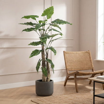 Kunstplant Alocasia - Olifantsoor - ↕180cm - Ø15cm