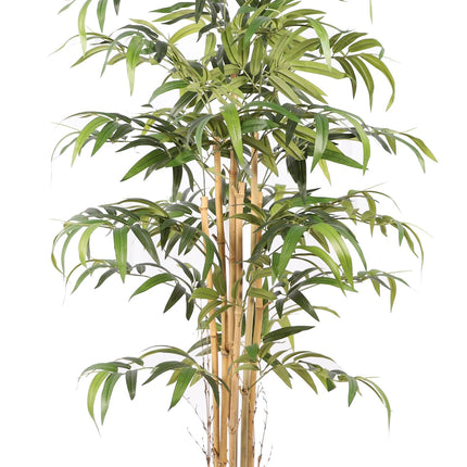 Kunstplant Bamboe Japanse - ↕140cm