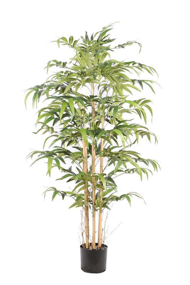 Kunstplant Bamboe (Japans) - ↕160cm