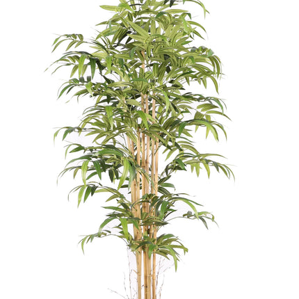 Kunstplant Bamboe (Japans) - ↕180cm