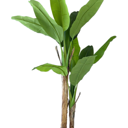 Kunstplant Bananenplant - ↕160cm