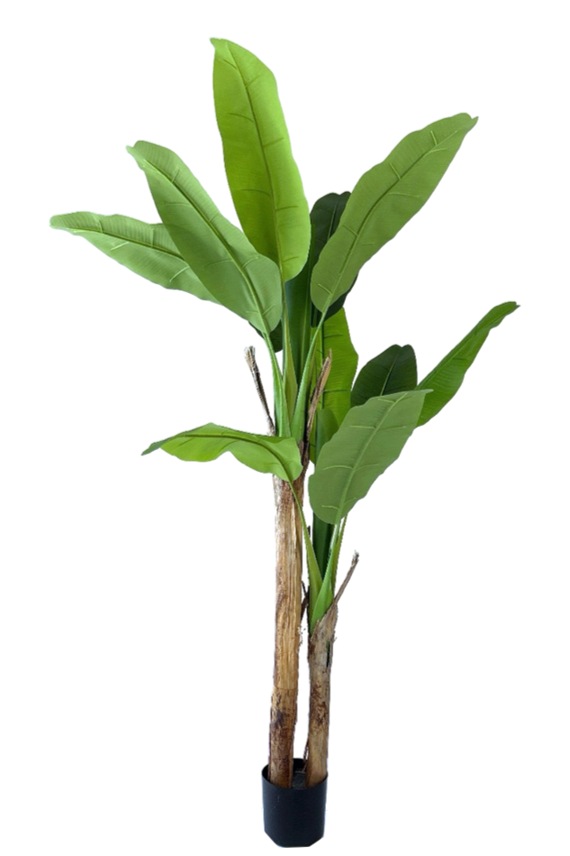 Kunstplant Bananenplant - ↕160cm