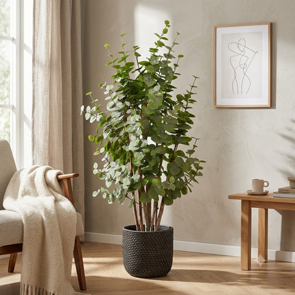 Kunstplant Eucalyptus Boom Groen - ↕120cm
