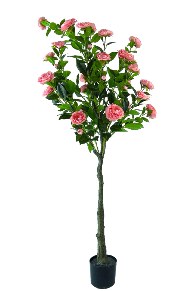 Kunstplant Camelia - ↕160cm
