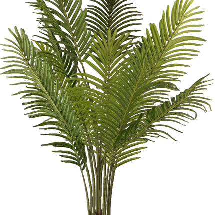 Kunstplant Palm Phoenix - ↕160cm