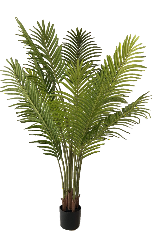 Kunstplant Palm Phoenix - ↕160cm