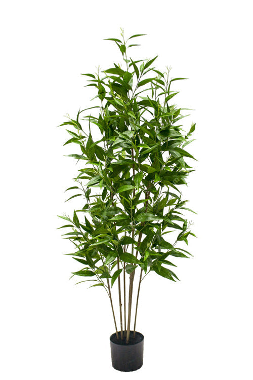 Kunstplant Eucalyptus - ↕160cm