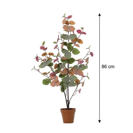 Kunstplant Eucalyptus Multicolor - ↕86cm