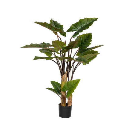 Kunstplant Alocasia - ↕160cm