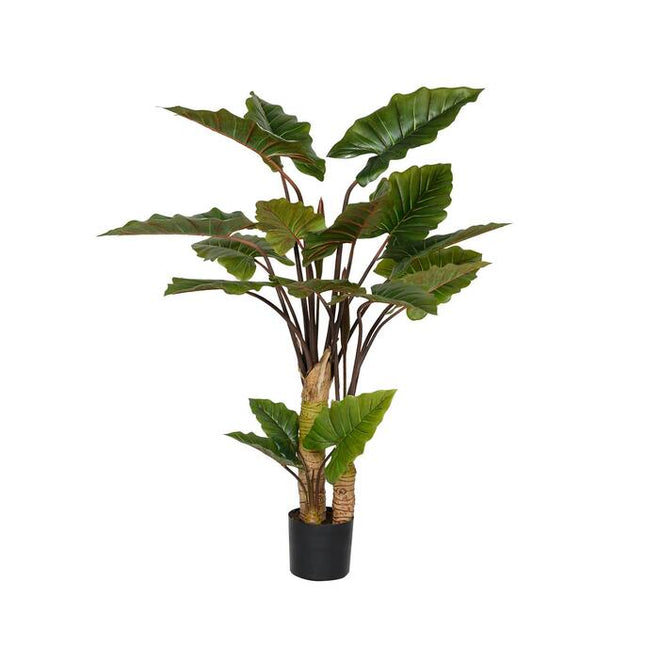 Kunstplant Alocasia - ↕160cm