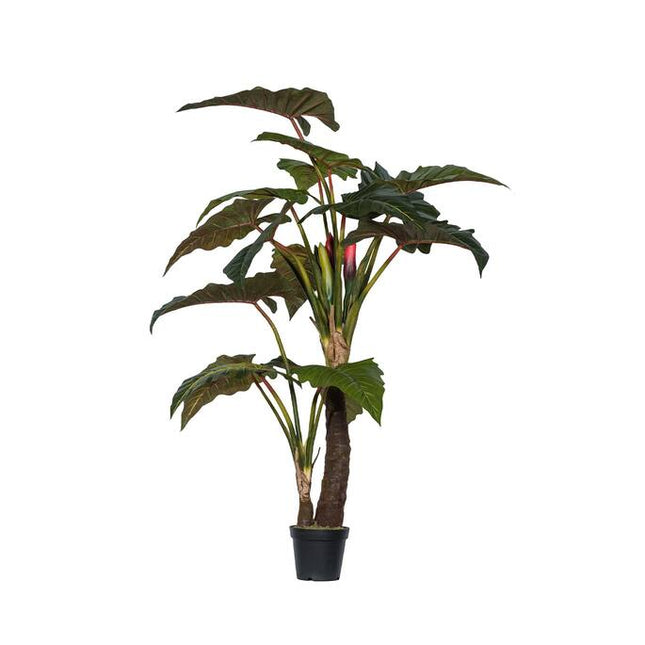 Kunstplant Alocasia boom - ↕220cm