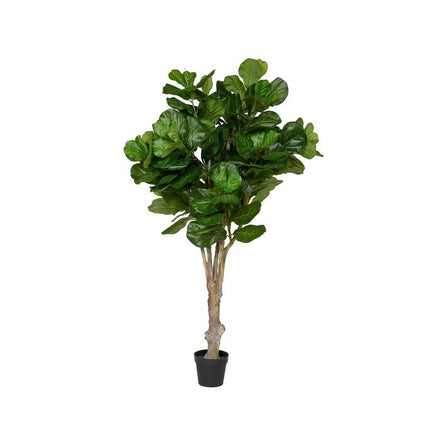 Kunstplant Ficus Lyrata - ↕180cm