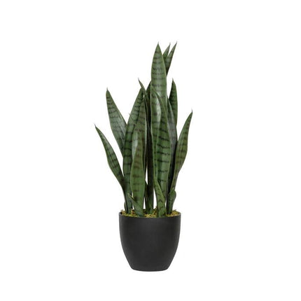 Kunstplant Sansevieria - ↕70cm